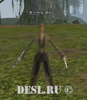   (Remnant Diviner) Lvl. 81, ID. 18464