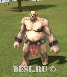   (Tomlan Kamos) Lvl. 23, ID. 18554