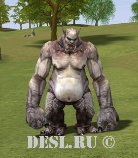   (Brave Martim) Lvl. 46, ID. 18565
