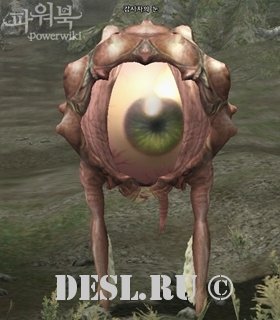   (Kashas Eye) Lvl. 81, ID. 18813
