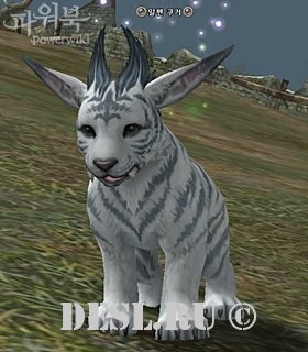  (Young Cougar) Lvl. 83, ID. 18881