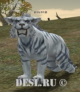   (Adult Cougar) Lvl. 83, ID. 18883