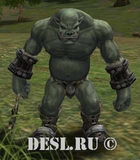   (Vuku Orc) Lvl. 14, ID. 20009