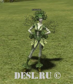  (Dryad) Lvl. 13, ID. 20013