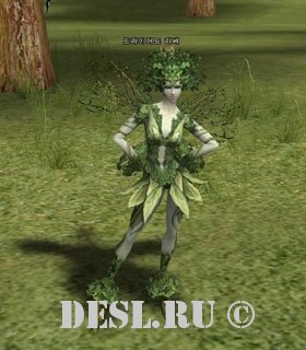   (Dryad Elder) Lvl. 14, ID. 20019