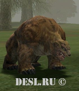   (Red Bear) Lvl. 14, ID. 20021