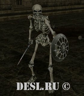   (Misery Skeleton) Lvl. 14, ID. 20022
