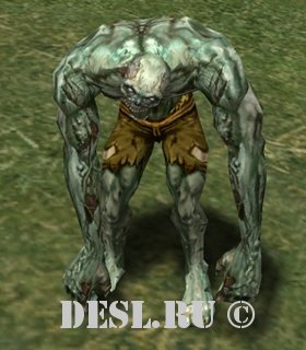   (Ruin Zombie) Lvl. 15, ID. 20026