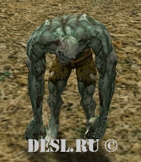 Главарь Зомби Руин (Ruin Zombie Leader) Lvl. 16, ID. 20029