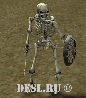   (Tracker Skeleton) Lvl. 17, ID. 20035