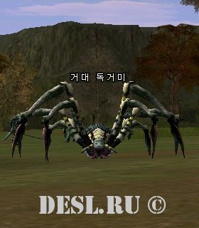   (Venomous Spider) Lvl. 18, ID. 20038