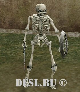    (Tracker Skeleton Leader) Lvl. 18, ID. 20042