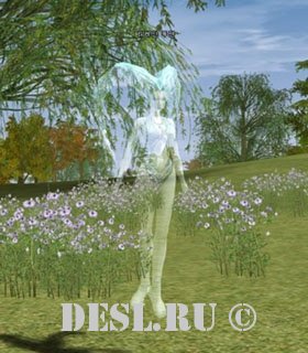  (Lirein Elder) Lvl. 19, ID. 20044