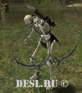   (Skeleton Scout) Lvl. 19, ID. 20045