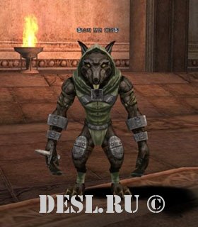    (Sukar Wererat Leader) Lvl. 19, ID. 20047