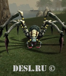   (Arachnid Predator) Lvl. 20, ID. 20050