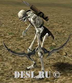   (Skeleton Bowman) Lvl. 20, ID. 20051