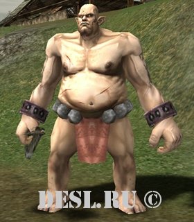   (Tumran Bugbear) Lvl. 23, ID. 20062
