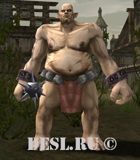   (Tumran Bugbear Warrior) Lvl. 24, ID. 20064