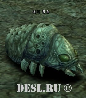   (Ant Larva) Lvl. 29, ID. 20075