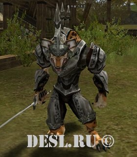  (Ol Mahum Commander) Lvl. 29, ID. 20076