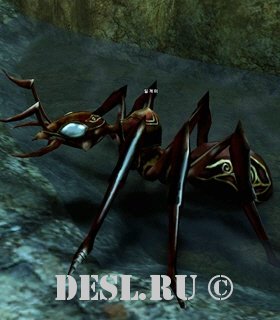  (Ant) Lvl. 30, ID. 20079
