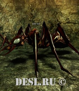   (Ant Captain) Lvl. 31, ID. 20080