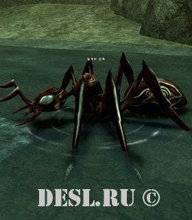   (Ant Overseer) Lvl. 32, ID. 20081