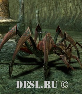   (Ant Recruit) Lvl. 33, ID. 20082