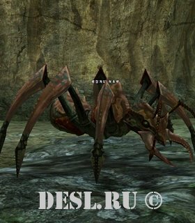   (Ant Patrol) Lvl. 34, ID. 20084
