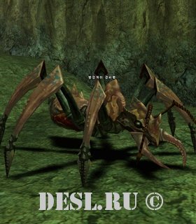   (Ant Guard) Lvl. 35, ID. 20086
