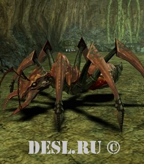   (Ant Soldier) Lvl. 35, ID. 20087