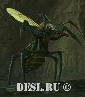   (Noble Ant) Lvl. 37, ID. 20089