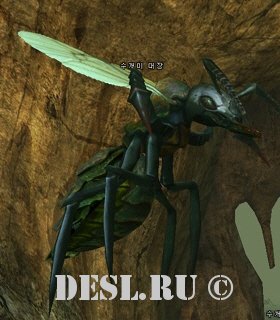    (Noble Ant Leader) Lvl. 38, ID. 20090