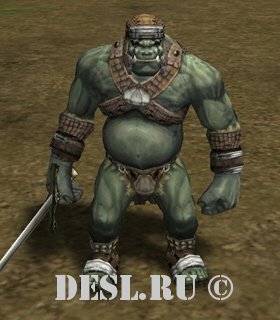    (Orc Fighter Leader) Lvl. 12, ID. 20098