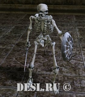   (Skeleton) Lvl. 12, ID. 20099