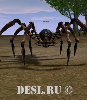   (Giant Spider) Lvl. 15, ID. 20103