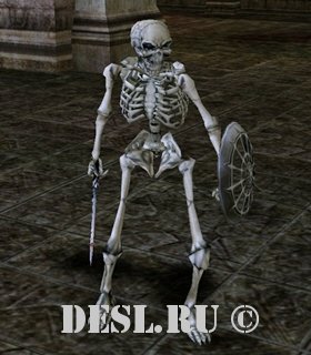   (Skeleton Lord) Lvl. 15, ID. 20104