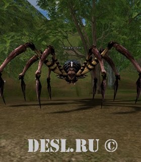   (Talon Spider) Lvl. 16, ID. 20106