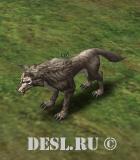  (Wolf) Lvl. 4, ID. 20120