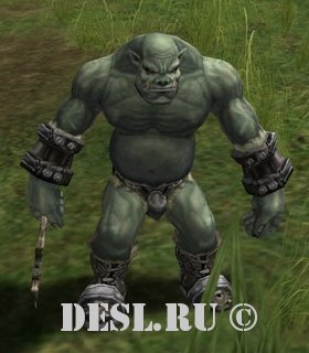   (Orc) Lvl. 6, ID. 20130