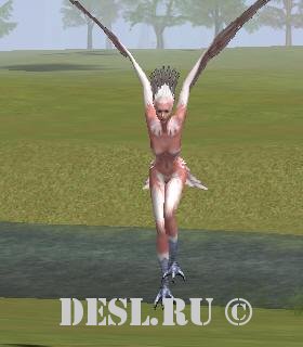  (Harpy) Lvl. 32, ID. 20145