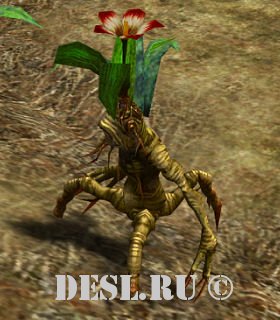   (Mandragora Sapling) Lvl. 23, ID. 20155