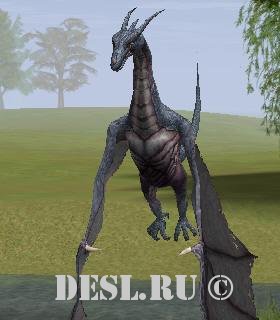  (Wyrm) Lvl. 35, ID. 20176