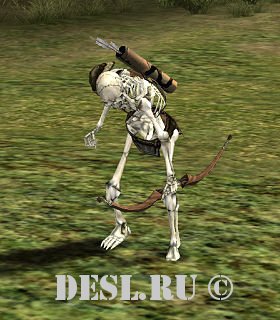   (Skeleton Marauder) Lvl. 29, ID. 20190