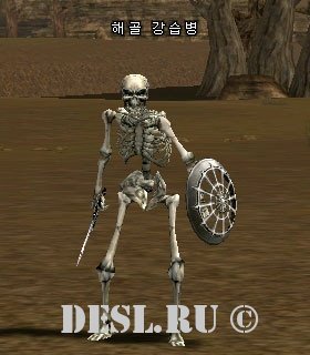   (Skeleton Raider) Lvl. 30, ID. 20191