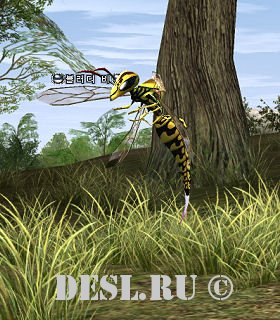   (Bloody Bee) Lvl. 23, ID. 20204