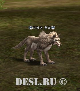   (Dire Wolf) Lvl. 24, ID. 20205