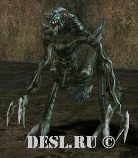  (Validus) Lvl. 46, ID. 20219