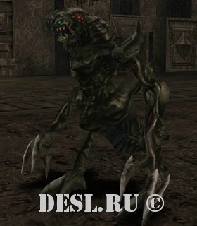  (Torfe) Lvl. 49, ID. 20222